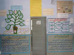 التقويم الشامل