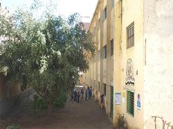 مدخل المؤسسة